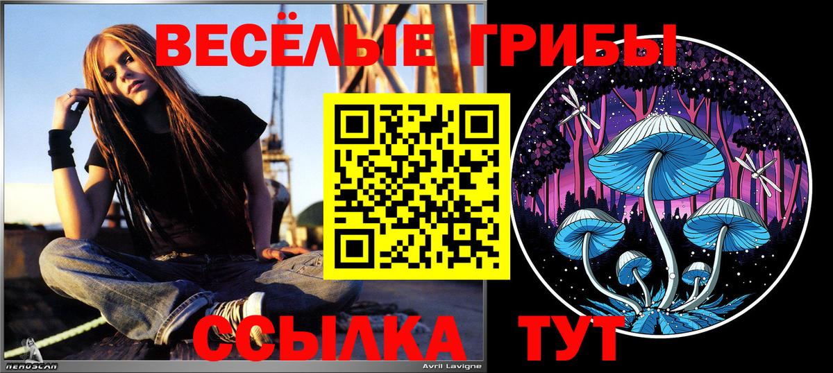 Псилоцибиновые грибы прущие грибы Добрянка