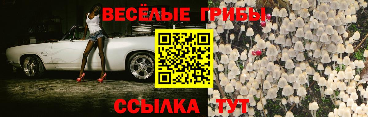 Добрянка  Галлюциногенные грибы Psilocybe  Вход с VPN 